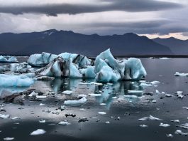 IPCC Report: What business needs to know