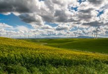 Beyond compliance: why companies are calling for a greener agenda