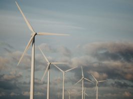 New government proposals to guarantee payment for excess renewable energy Households and businesses installing new solar panels will be guaranteed payment for power provided back to the grid under government proposals