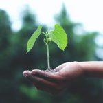 Climate change action should be core part of COVID-19 recovery plan, say government advisors Reducing greenhouse gas emissions and climate change action are integral to the UK’s COVID-19 recovery package, warns the CCC