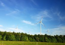 Corporate sustainability plans unaffected by COVID-19, but government should do more, says new survey Corporate sustainability plans unaffected by COVID-19, but government should do more, says new survey from The Climate Group.