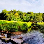 World Environment Day: businesses urged to ‘close the gap between words and action’ World Environment Day: Most businesses are not prioritising climate action or protecting nature, according to the latest survey from BITC.
