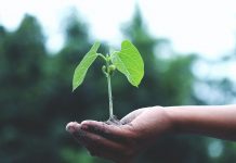 Ask the expert: Streamlined Energy and Carbon Reporting The Hub speaks with Streamlined Energy and Carbon Reporting expert Bryony about how businesses are coping with the new requirements