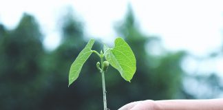 Ask the expert: Streamlined Energy and Carbon Reporting The Hub speaks with Streamlined Energy and Carbon Reporting expert Bryony about how businesses are coping with the new requirements