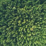 Carbon Offsetting A global survey of 829 accountants and finance professionals reveals their deep concerns about environment