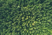 Accountants reveal deep concerns about environment – and call for organisations to do more A global survey of 829 accountants and finance professionals reveals their deep concerns about environment