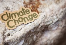 Climate risk reporting: why businesses should prepare for more investor scrutiny Climate risk reporting