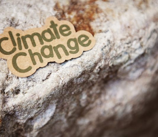 Climate risk reporting: why businesses should prepare for more investor scrutiny Climate risk reporting