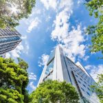 The 5 first steps towards becoming a net zero carbon business The 5 first steps towards becoming a net zero carbon business