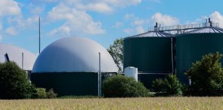 Net zero supplier mentoring: the powerful approach to tackling Scope 3 emissions