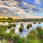 Policy shortfall puts government on track to miss its 2030 climate target Policy shortfall puts government on track to miss its 2030 climate target