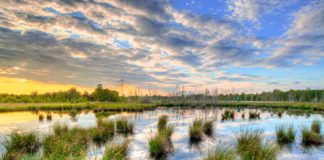 Policy shortfall puts government on track to miss its 2030 climate target Policy shortfall puts government on track to miss its 2030 climate target