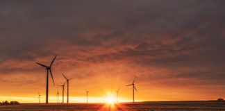 8 green policies for businesses to look out for this year A number of major green policies are due from the government – Here’s our list of the green policies to look out for in 2021