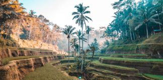 Businesses urged to tackle hidden carbon emissions from food imports UK businesses must take stronger action to reduce the hidden carbon emissions embedded in food imports, says new Fairtrade Foundation report