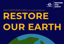 Earth Day: the 3-minute step to put your business on the road to net zero