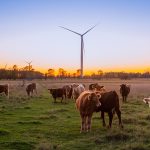The latest net zero news: Morrisons, FedEx, Aviva and more March - Morrisons to be completely supplied by net zero farms by 2030