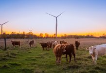 The latest net zero news: Morrisons, FedEx, Aviva and more March - Morrisons to be completely supplied by net zero farms by 2030