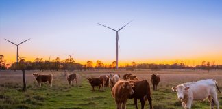 The latest net zero news: Morrisons, FedEx, Aviva and more March - Morrisons to be completely supplied by net zero farms by 2030