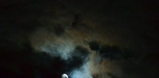 What does good practice truly mean when setting net zero targets? What does good practice truly mean for net zero