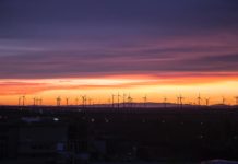 Green funding for businesses – could you get a slice of the pie? Green funding for businesses is not easy, but here are a few funding opportunities that may be worth looking into...