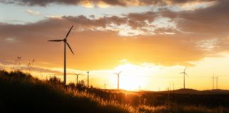 Government urged to set new 2030 targets for renewable technologies Renewable UK has urged the UK to commit to specific deployment targets for renewable technologies ahead of COP26 later this year.