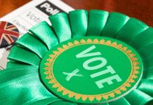 Building back better: what does Green election success tell us? Building back better what does Green election success tell us