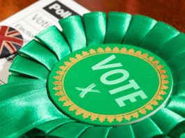 Building back better: what does Green election success tell us? Building back better what does Green election success tell us