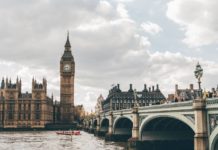 Firms must commit to net zero and report on emissions to win big government contracts Firms must commit to net zero and report on emissions to win government contracts