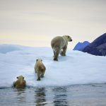 Finally, governments are putting climate change over profit. Businesses that don’t react will pay a high price. Finally, governments are putting climate change over profit