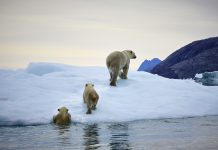 Finally, governments are putting climate change over profit. Businesses that don’t react will pay a high price. Finally, governments are putting climate change over profit