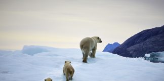 Finally, governments are putting climate change over profit. Businesses that don’t react will pay a high price. Finally, governments are putting climate change over profit