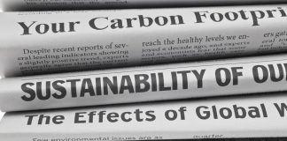 $14 trillion investors call for scrutiny and director accountability on corporate net zero plans $14 trillion investors call for scrutiny and director accountability on corporate net zero plans