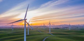 Government review launched to tackle greenwashed energy tariffs