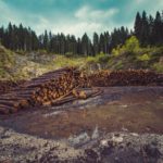 Action on six key climate issues will keep Paris Agreement alive, says new report