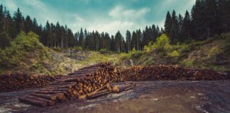 Action on six key climate issues will keep Paris Agreement alive, says new report