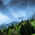 Net Zero Diaries initiative puts public at the heart of climate decisions A new initiative which will put the public at the heart of decision making on climate policy has been launched.