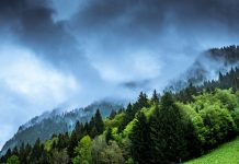 Net Zero Diaries initiative puts public at the heart of climate decisions A new initiative which will put the public at the heart of decision making on climate policy has been launched.