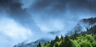 Net Zero Diaries initiative puts public at the heart of climate decisions A new initiative which will put the public at the heart of decision making on climate policy has been launched.