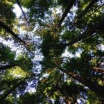 Over half of FTSE 100 companies link ESG measures to executive pay FTSE 100 companies are increasingly making environment, social and governance ESG measures a condition of executive remuneration