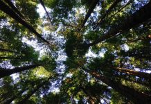 Over half of FTSE 100 companies link ESG measures to executive pay FTSE 100 companies are increasingly making environment, social and governance ESG measures a condition of executive remuneration