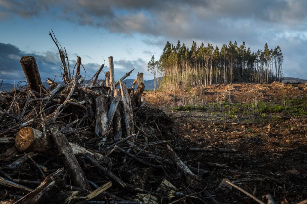 Launched to coincide with the second week of COP26 10 of the UK’s leading universities use position as investors to call time on greenwashing...