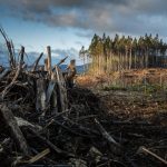 Universities use position as investors to call time on greenwashing Launched to coincide with the second week of COP26 10 of the UK’s leading universities use position as investors to call time on greenwashing...