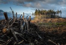 Universities use position as investors to call time on greenwashing Launched to coincide with the second week of COP26 10 of the UK’s leading universities use position as investors to call time on greenwashing...