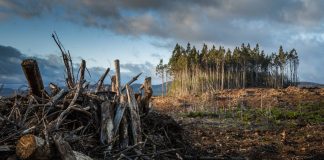 Universities use position as investors to call time on greenwashing Launched to coincide with the second week of COP26 10 of the UK’s leading universities use position as investors to call time on greenwashing...