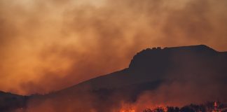 Will COP26’s 1.5C goal be hit? Increasingly it appears COP26's 1.5C goal might be a possibility, or if not, something very close indeed. What's progress to date?