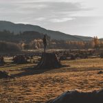 Business minds are turning to COP27. How and why should corporates prepare? It may seem like moments since the ink dried on COP26 agreements, but what should business leaders be doing, and what must COP27 pick up?