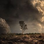 Research reveals climate pledges from leading global businesses will fail to reach net zero Research reveals climate pledges from leading global businesses will fail to reach net zero