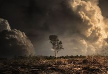 Research reveals climate pledges from leading global businesses will fail to reach net zero Research reveals climate pledges from leading global businesses will fail to reach net zero