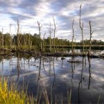 Can we rely on carbon removal technologies to solve the climate crisis? carbon removal technologies to solve the climate crisis