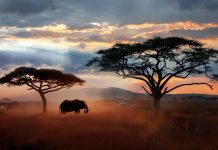 IPCC report calls warming status ‘dire’. What will it take for the world to stand up and listen? IPCC report calls warming status 'dire'. What will it take for the world to stand up and listen